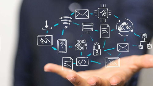 艾舜杰如何利用數(shù)字化轉(zhuǎn)型推動(dòng)可持續(xù)發(fā)展